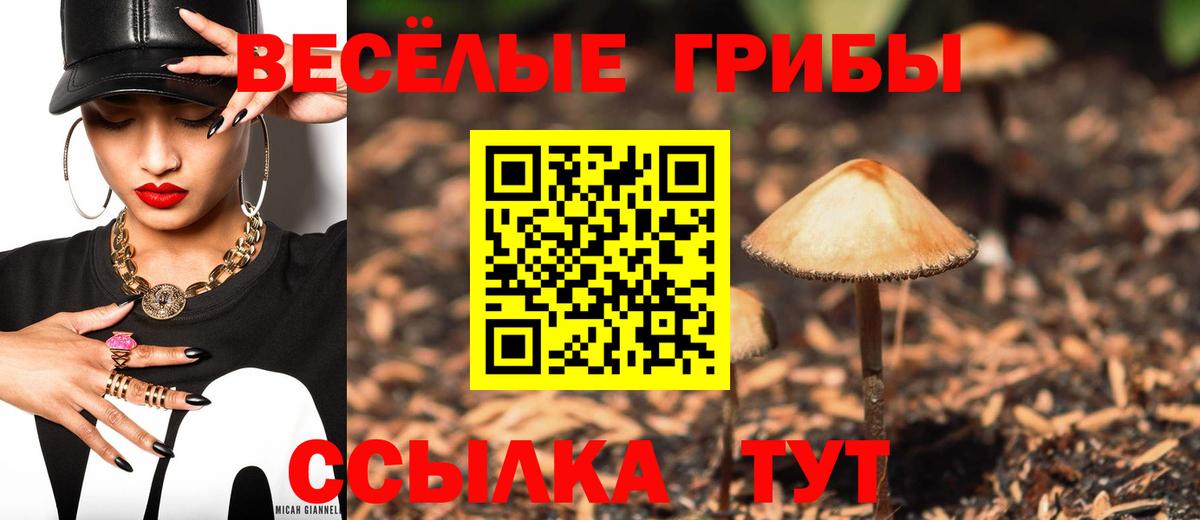 Псилоцибиновые грибы Psilocybine cubensis  Вход с VPN  магазин продажи   Галлюциногенные грибы Magic Shrooms  Муром 